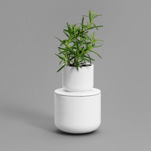 Double Vessel